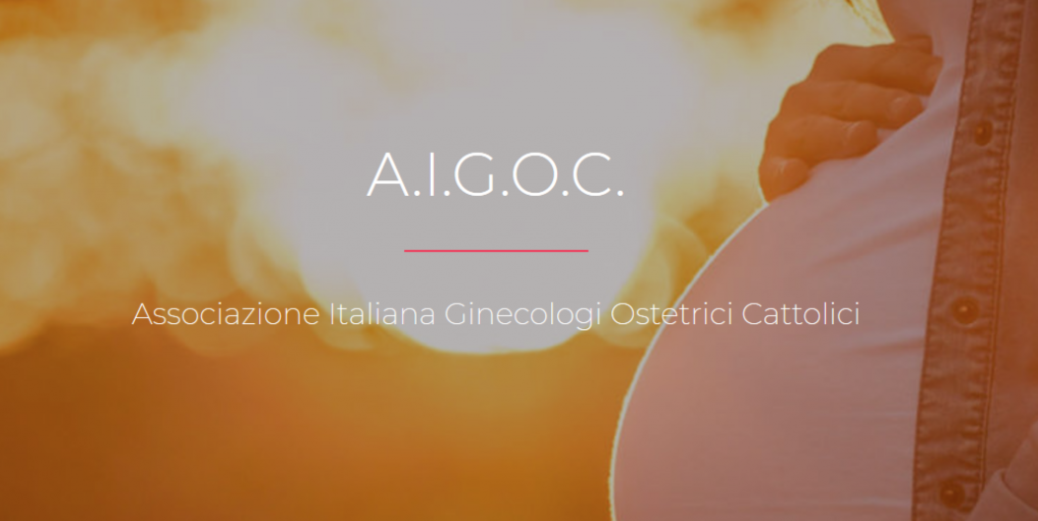 Ginecologi e Ostetrici cattolici contro la risoluzione Matic sull’aborto: «Attentato alla salute delle donne» 1